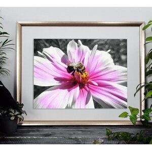 8x10 Bee Flower Floral‎ Photography Nature Beautiful Art Print